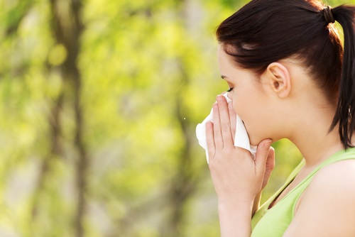 Allergie Pollens Cypres