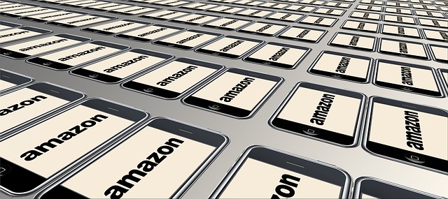 Amazon Brevet Cage Salarie