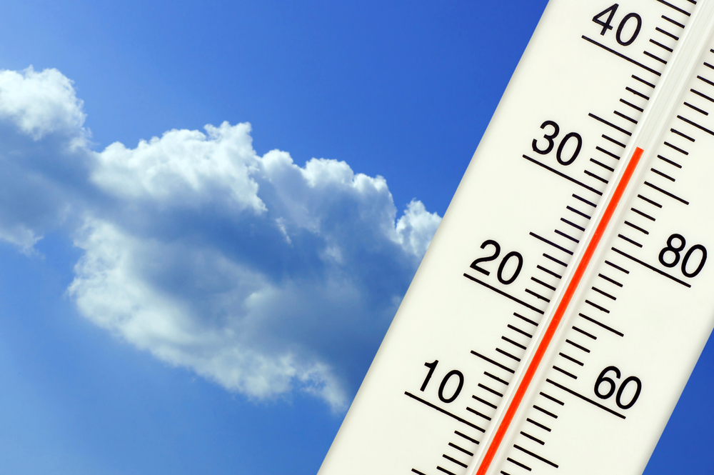 Canicule