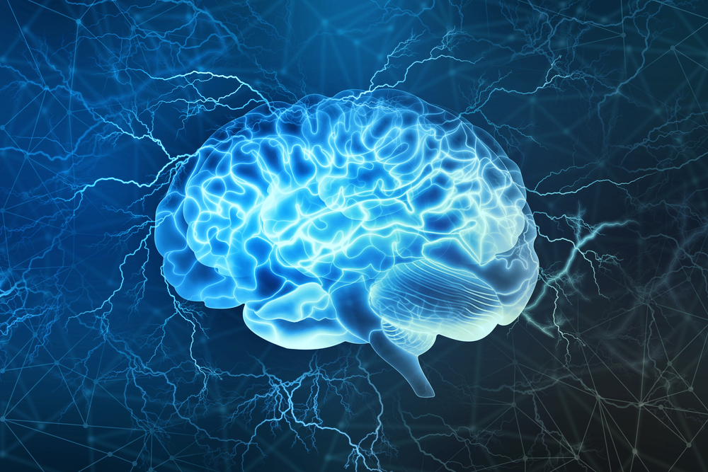 Cerveau%20c%c3%a9r%c3%a9bral
