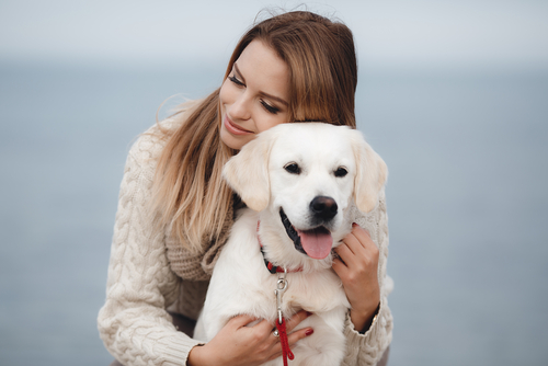 Chien Labrador Propagation Covid