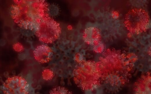 Covid19 Situation France Vaccination