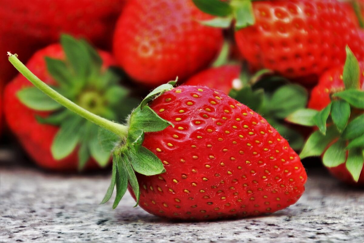 Fraises Abricots Gout Consommation 1