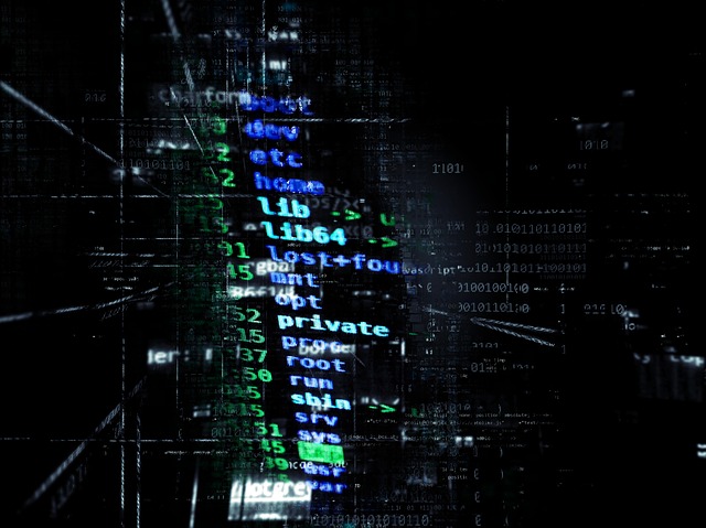 France Entreprises Ransomwares Solution Protection
