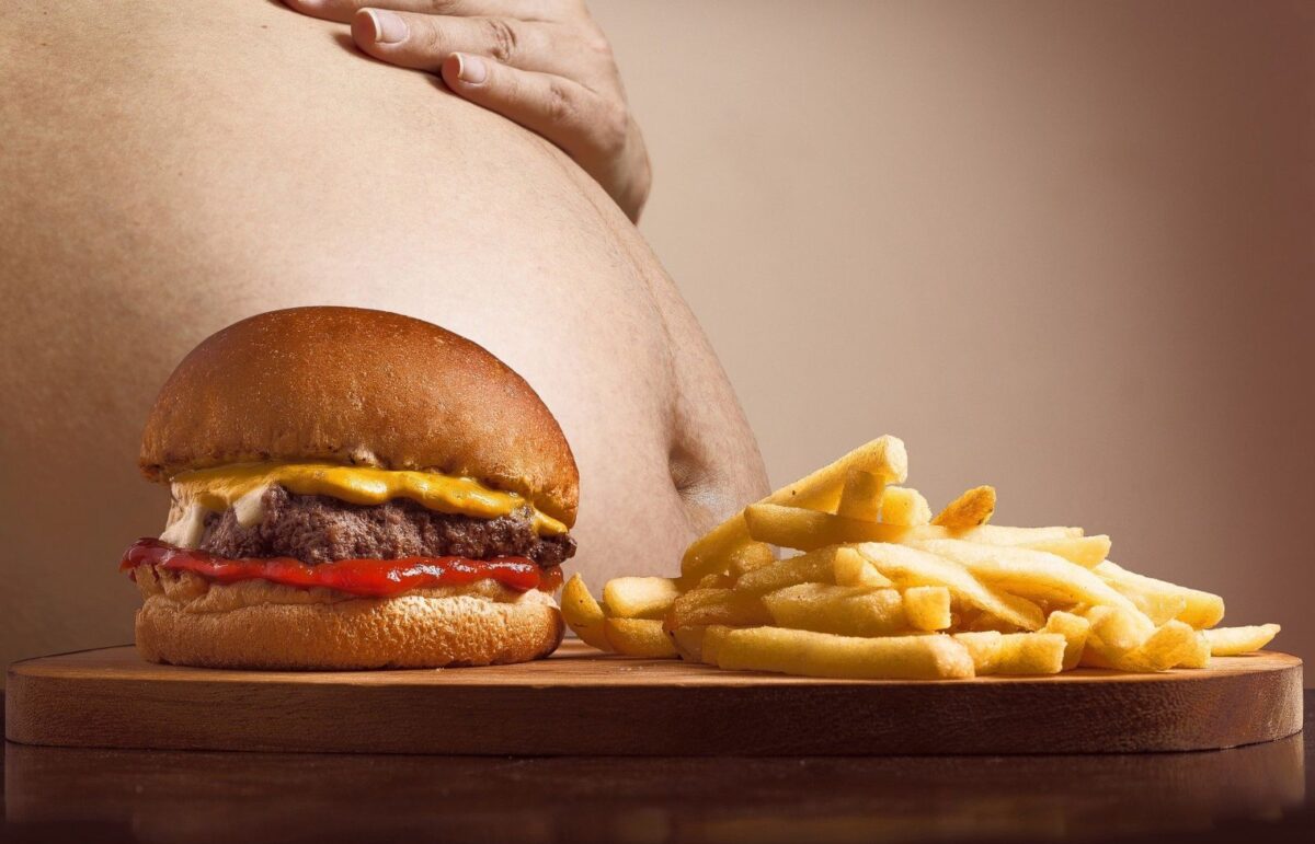 Obesite Malbouffe Nutrition
