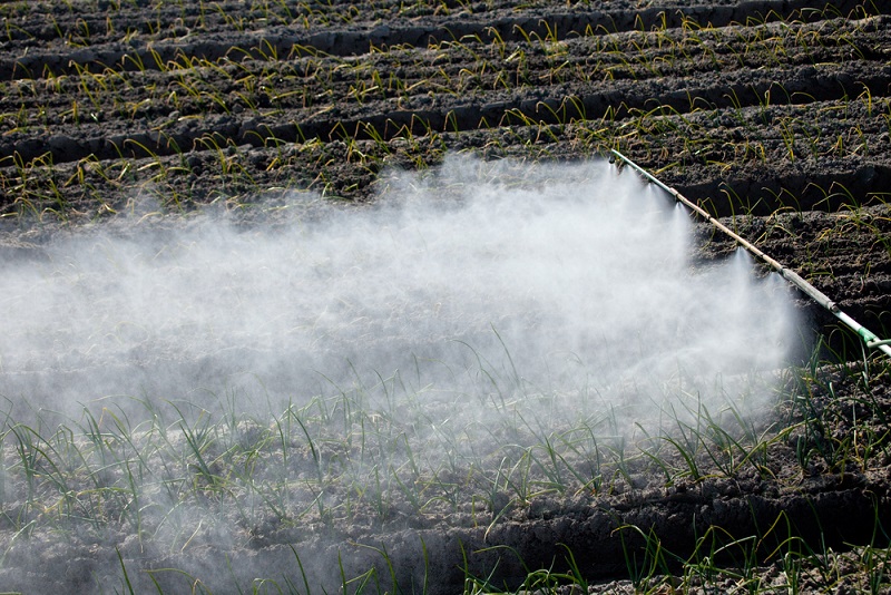Pesticide