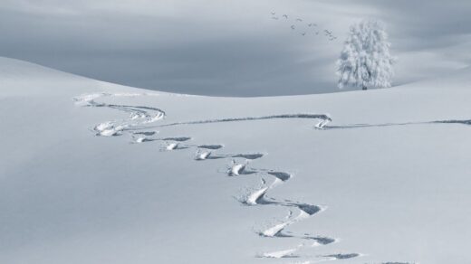 Stations Ski Mise Mort Gouvernement Covid Restaurants Bars